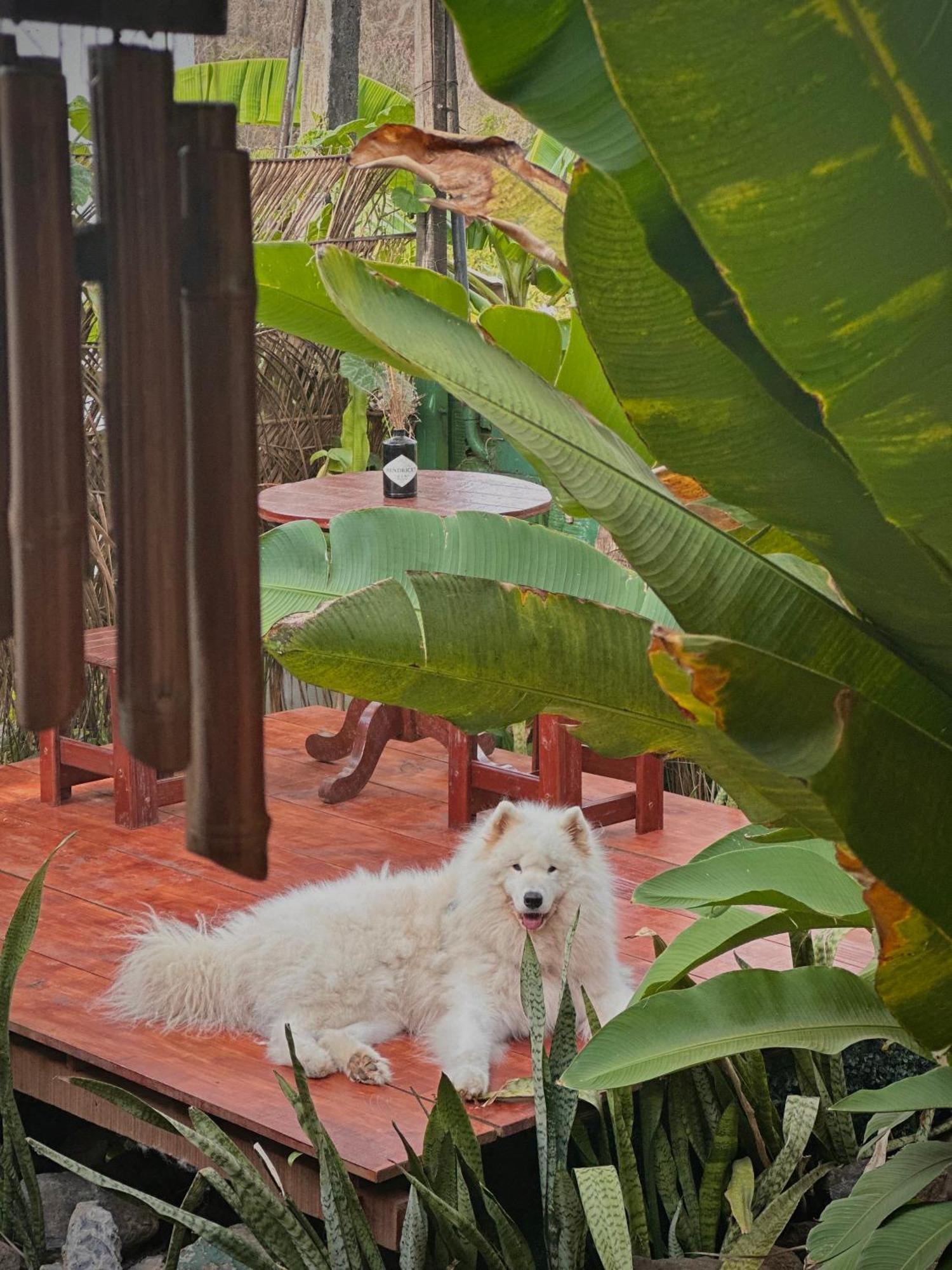 Casa Luz - Fernando De Noronha Hotel Buitenkant foto